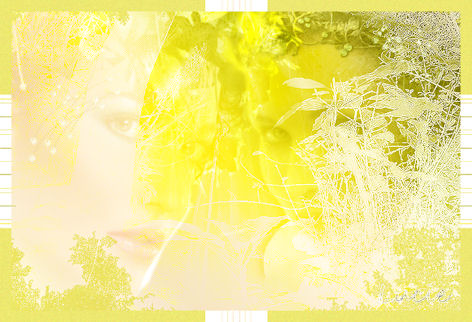 Image hébergée par Casimages.com : votre hébergeur d images simple et gratuit