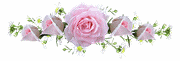 Image hébergée par Casimages.com : votre hébergeur d images simple et gratuit