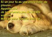 Cliquez pour afficher l'image en taille r�elle