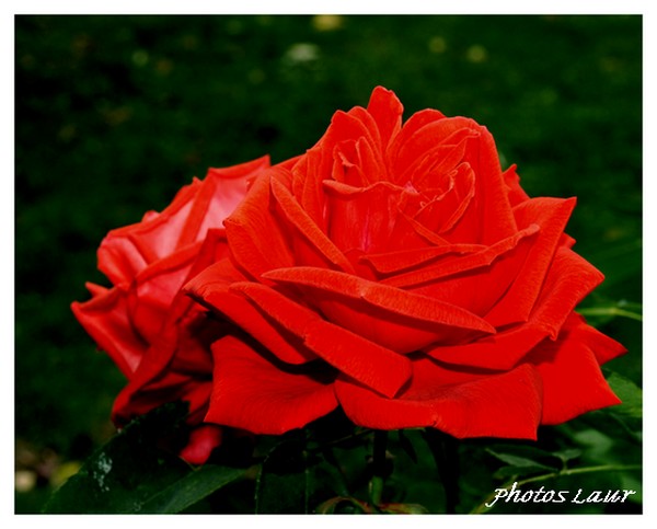 Image hébergée par Casimages.com : votre hébergeur d images simple et gratuit