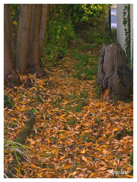 Image hébergée par Casimages.com : votre hébergeur d images simple et gratuit