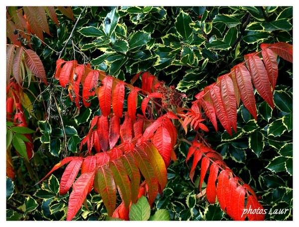 Image hébergée par Casimages.com : votre hébergeur d images simple et gratuit