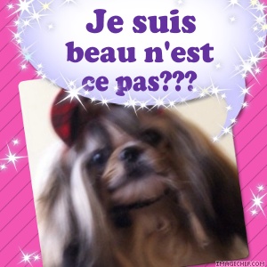 Image h�berg�e par Casimages.com : votre h�bergeur d images simple et gratuit