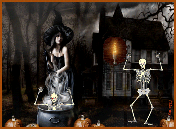 Image hébergée par Casimages.com : votre hébergeur d images simple et gratuit