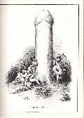 Cliquez pour afficher l'image en taille r�elle