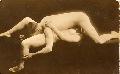 Cliquez pour afficher l'image en taille r�elle