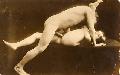 Cliquez pour afficher l'image en taille r�elle