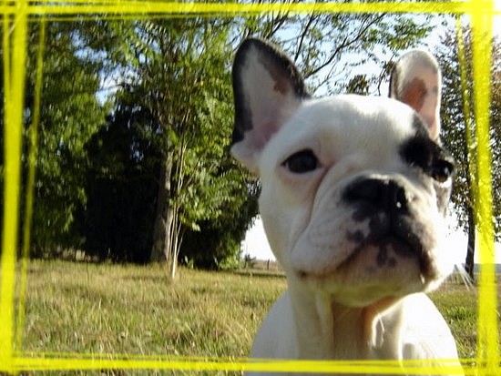 Image h�berg�e par Casimages.com : votre h�bergeur d images simple et gratuit