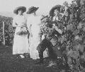 Nicolas, Olga, Tatiana et Vyroubova