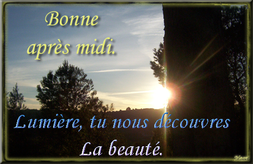 voir l'image en taille réelle