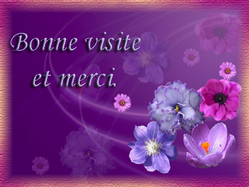 voir l'image en taille réelle