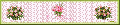 Cliquez pour afficher l'image en taille r�elle