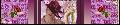 Cliquez pour afficher l'image en taille r�elle