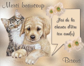 Image h�berg�e par Casimages.com : votre h�bergeur d images simple et gratuit