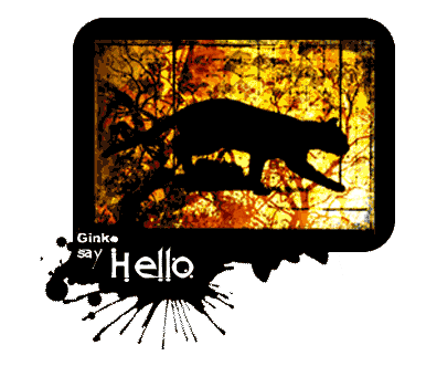 chat