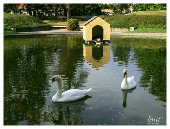 Image hébergée par Casimages.com : votre hébergeur d images simple et gratuit