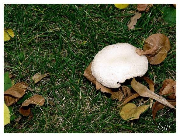 Image hébergée par Casimages.com : votre hébergeur d images simple et gratuit