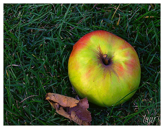 Image hébergée par Casimages.com : votre hébergeur d images simple et gratuit
