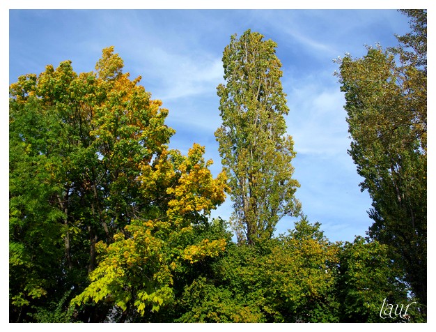 Image hébergée par Casimages.com : votre hébergeur d images simple et gratuit