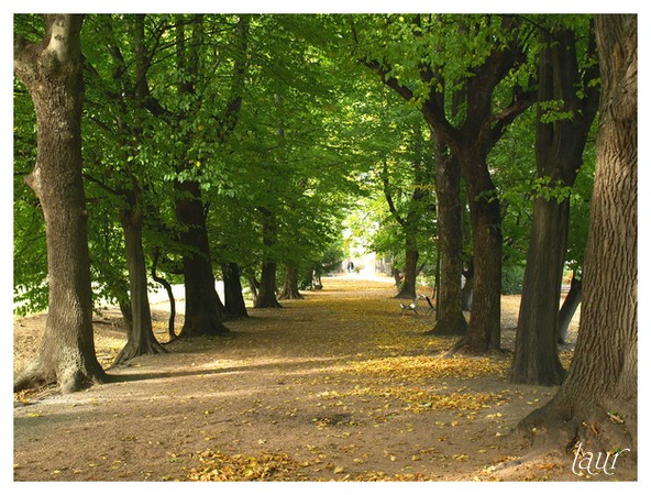Image hébergée par Casimages.com : votre hébergeur d images simple et gratuit