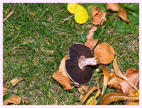 Image hébergée par Casimages.com : votre hébergeur d images simple et gratuit