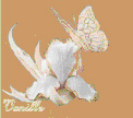 Image hébergée par Casimages.com : votre hébergeur d images simple et gratuit