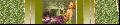 Cliquez pour afficher l'image en taille r�elle