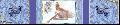 Cliquez pour afficher l'image en taille r�elle