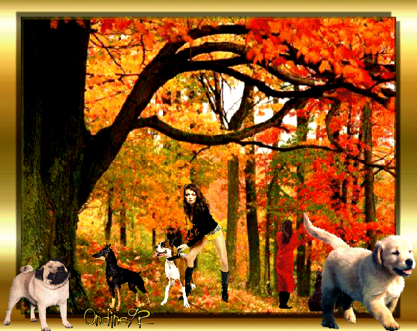PROMENADE AU BOIS dans ANIMAUX 081008015126377662586907