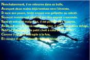 Cliquez pour afficher l'image en taille r�elle