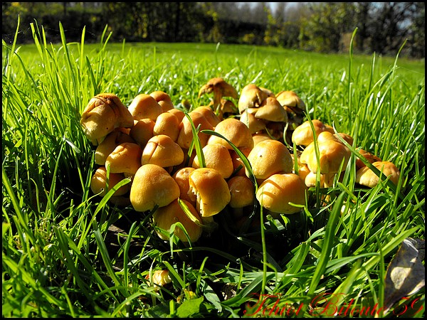 Image hébergée par Casimages.com : votre hébergeur d images simple et gratuit
