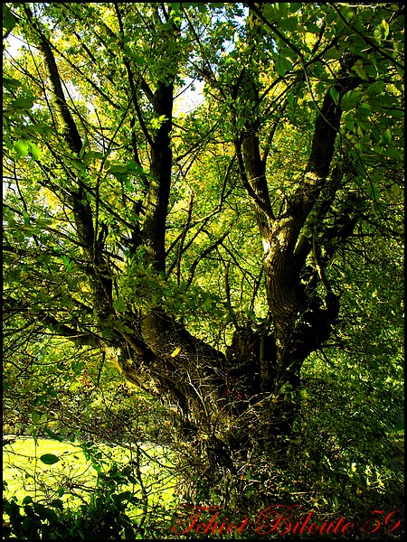 Image hébergée par Casimages.com : votre hébergeur d images simple et gratuit