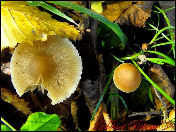 Image hébergée par Casimages.com : votre hébergeur d images simple et gratuit