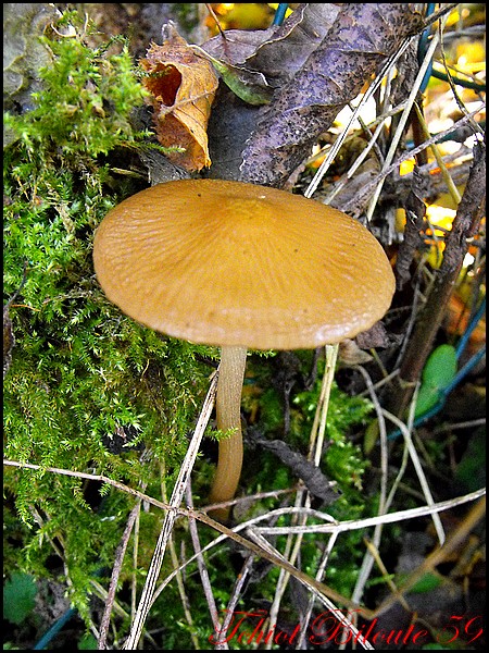 Image hébergée par Casimages.com : votre hébergeur d images simple et gratuit