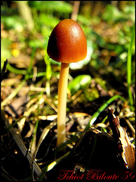 Image hébergée par Casimages.com : votre hébergeur d images simple et gratuit