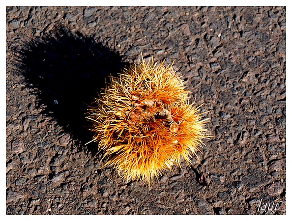 Image hébergée par Casimages.com : votre hébergeur d images simple et gratuit