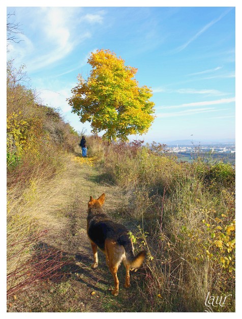 Image hébergée par Casimages.com : votre hébergeur d images simple et gratuit