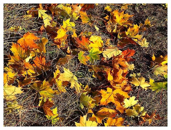 Image hébergée par Casimages.com : votre hébergeur d images simple et gratuit