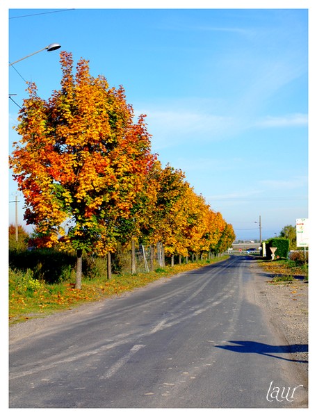 Image hébergée par Casimages.com : votre hébergeur d images simple et gratuit