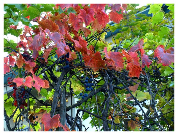 Image hébergée par Casimages.com : votre hébergeur d images simple et gratuit