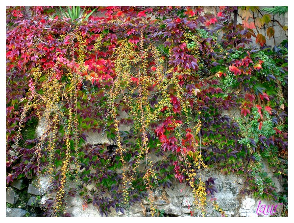 Image hébergée par Casimages.com : votre hébergeur d images simple et gratuit