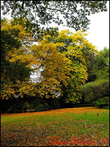 Image hébergée par Casimages.com : votre hébergeur d images simple et gratuit