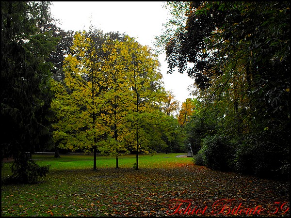 Image hébergée par Casimages.com : votre hébergeur d images simple et gratuit