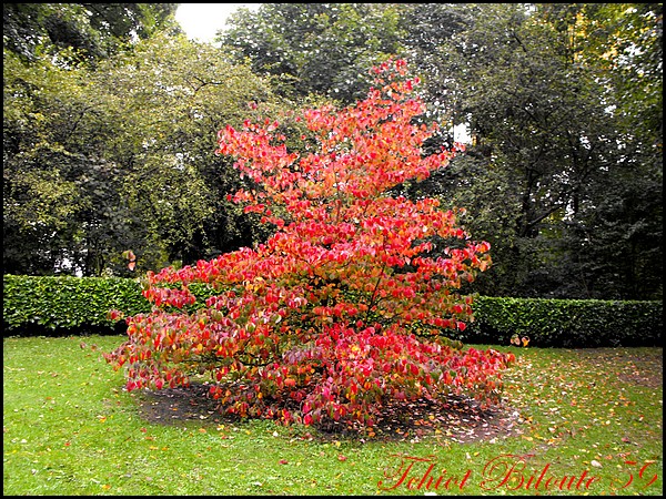 Image hébergée par Casimages.com : votre hébergeur d images simple et gratuit