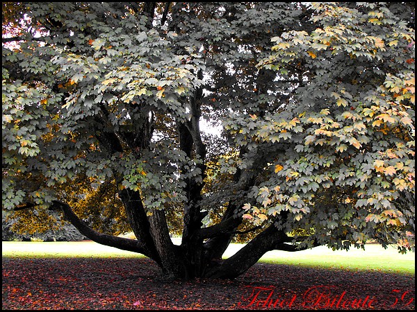 Image hébergée par Casimages.com : votre hébergeur d images simple et gratuit