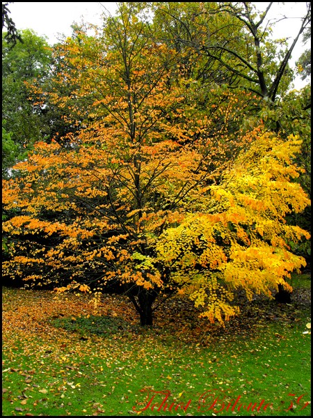 Image hébergée par Casimages.com : votre hébergeur d images simple et gratuit