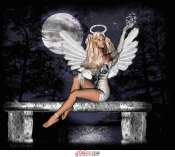 Cliquez pour afficher l'image en taille r�elle