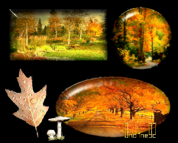 Image hébergée par Casimages.com : votre hébergeur d images simple et gratuit