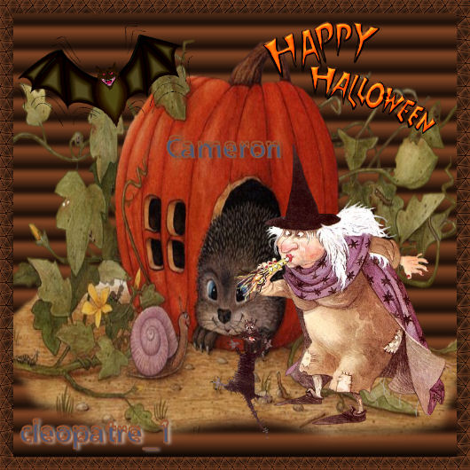 Image h�berg�e par Casimages.com : votre h�bergeur d images simple
et gratuit