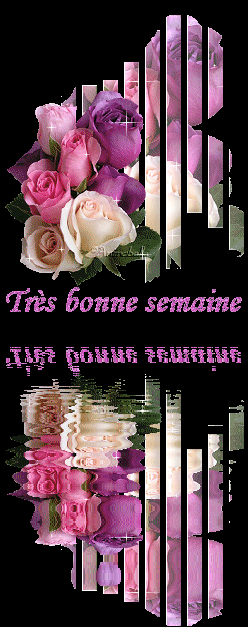 Image hébergée par Casimages.com : votre hébergeur d images simple et gratuit